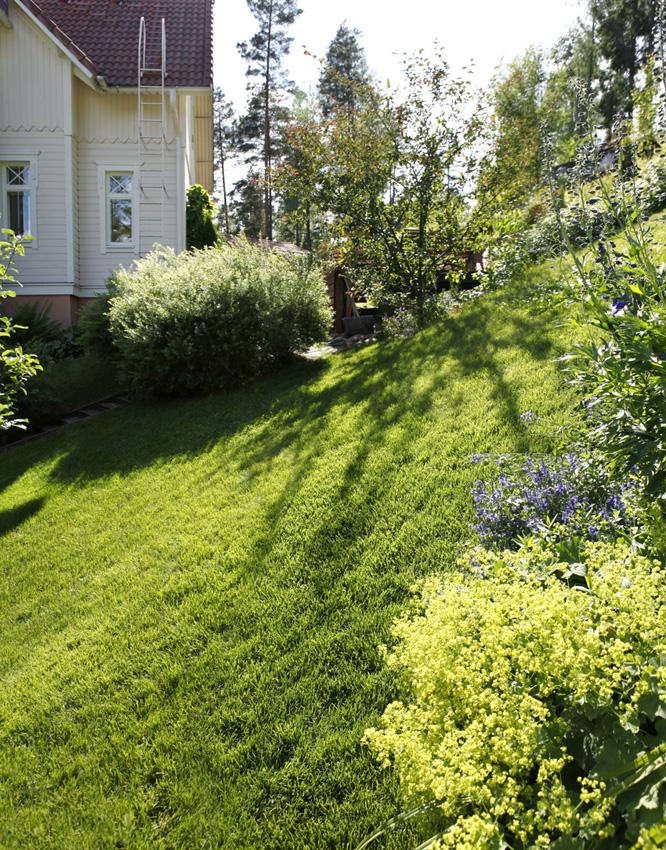 Rinnetontilla sijaitsevan omakotitalon piha, jossa siirtonurmi peittää jyrkän nurmialueen. Pihalla kasvaa koristepensaita ja kukkia auringonpaisteessa.