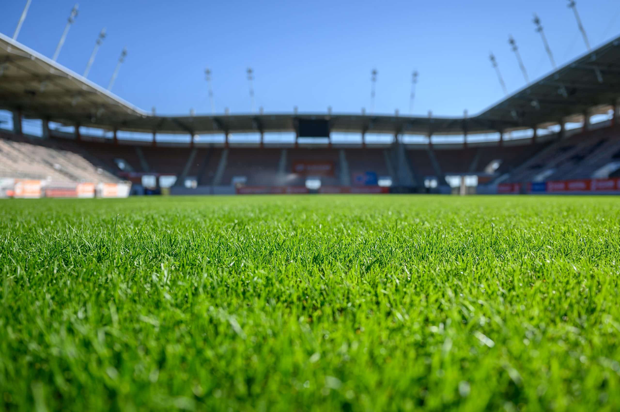 Lähikuva tiiviistä, vihreästä siirtonurmesta jalkapallostadionin kentällä kirkkaana aurinkopäivänä, taustalla katsomorakenteet ja valomastot.