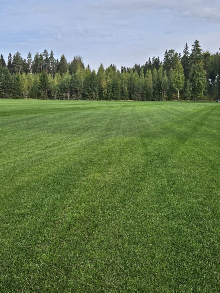 Syksykampanja nurmikolle